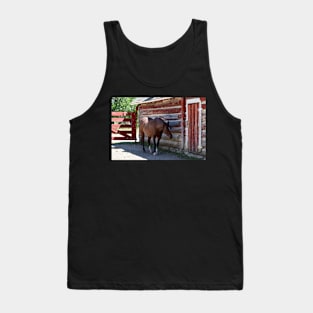 Horse in the shade Tank Top